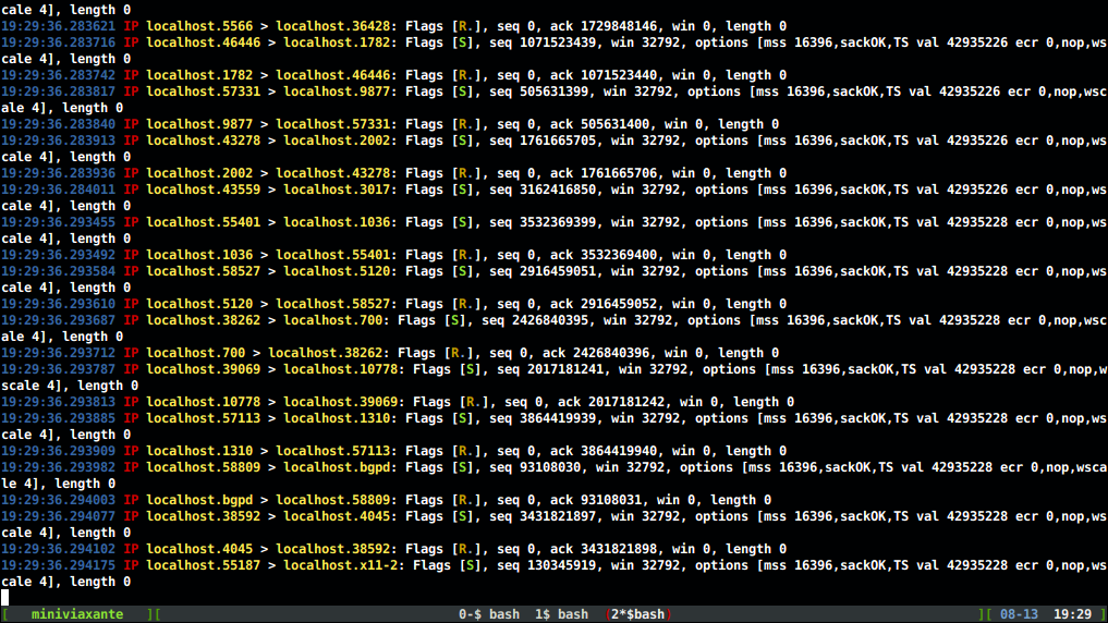 salida usando el script